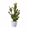 Liberta-Maison Rebutia Futo Texnito se Gastra 67cm PVC Prasino Lefko Tsimento 030825