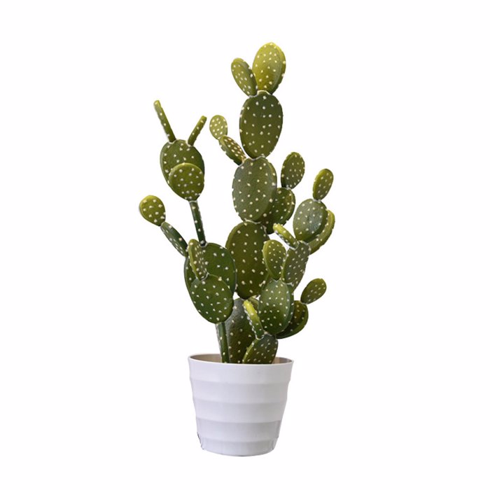 Liberta-Maison Rebutia Futo Texnito se Gastra 67cm PVC Prasino Lefko Tsimento 030825