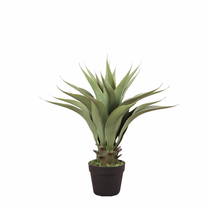 Liberta-Maison Agave Futo Texnito Se Gastra 55cm PVC Prasino Mavro Tsimento 030827