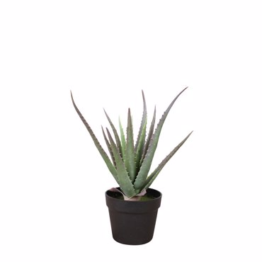 Liberta-Maison Aloe Φυτό Τεχνητό Σε Γλάστρα 43cm PVC Πράσινο Μαύρο Τσιμέντο 030831