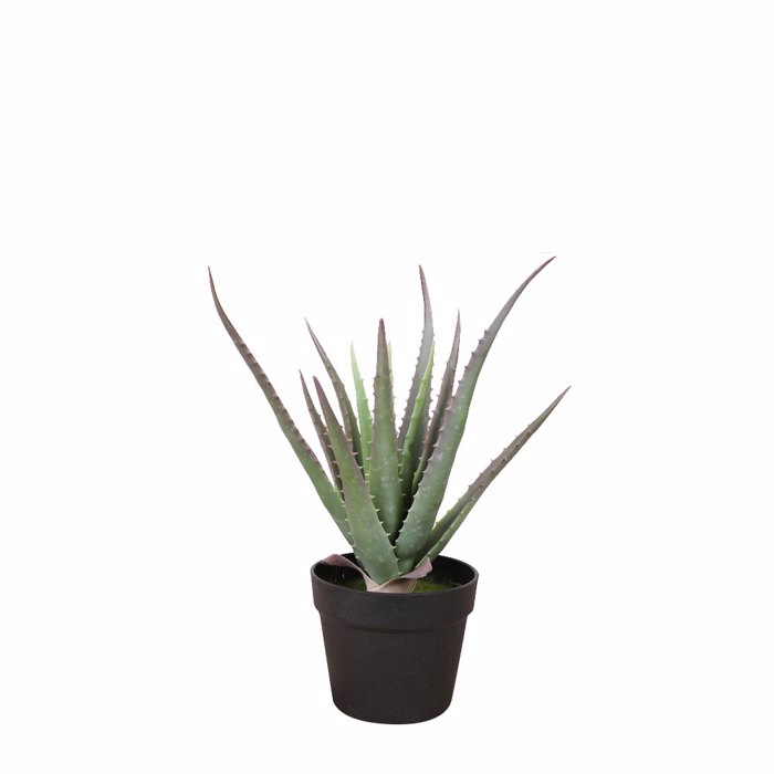 Liberta-Maison Aloe Futo Texnito Se Gastra 43cm PVC Prasino Mavro Tsimento 030831