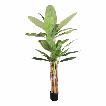 Liberta-Maison Banana Δέντρο Τεχνητό σε Γλάστρα 240cm PVC Πράσινο Μαύρο Τσιμέντο 030832