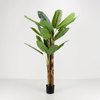 Liberta-Maison Banana Dentro Texnito se Gastra 200cm PVC Prasino Mavro Tsimento 030833