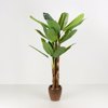 Liberta-Maison Banana Dentro Texnito se Gastra 200cm PVC Prasino Mavro Tsimento 030833