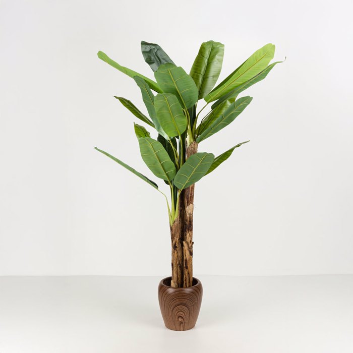 Liberta-Maison Banana Dentro Texnito se Gastra 200cm PVC Prasino Mavro Tsimento 030833