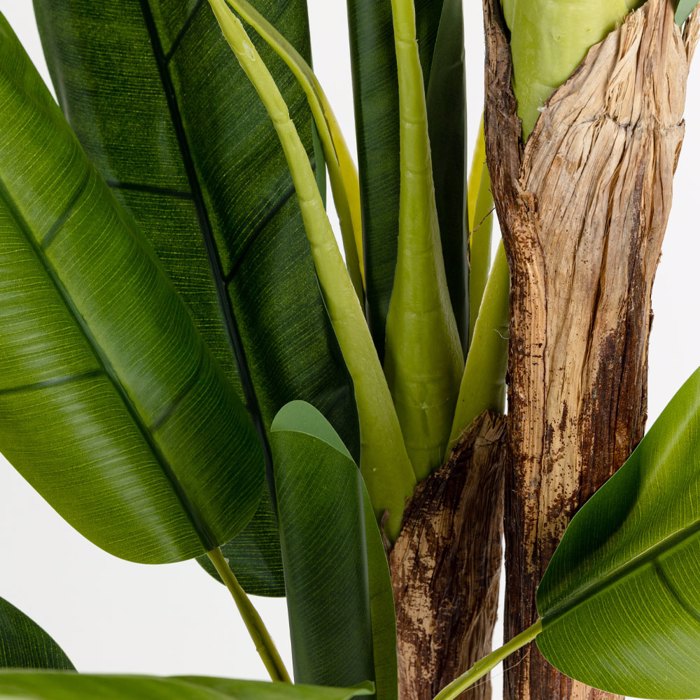 Liberta-Maison Banana Dentro Texnito se Gastra 200cm PVC Prasino Mavro Tsimento 030833