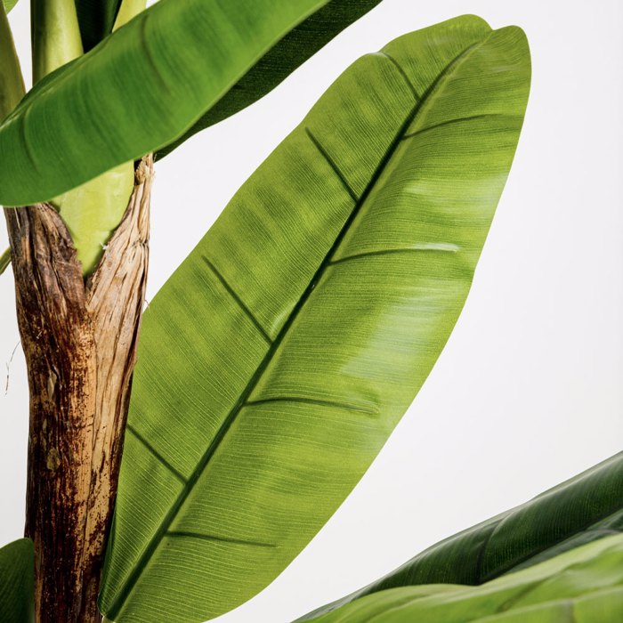 Liberta-Maison Banana Dentro Texnito se Gastra 200cm PVC Prasino Mavro Tsimento 030833