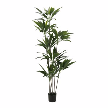 Liberta - Maison VELVET TREE Δέντρο Τεχνητό PVC Πράσινο σε Μαύρη Τσιμεντένια Γλάστρα 160cm 030850