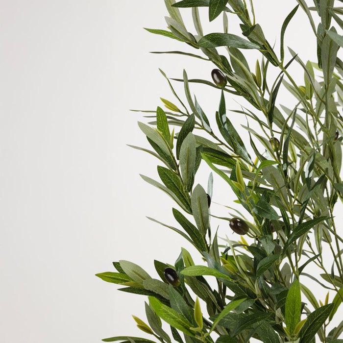 Liberta - Maison OLIVE TREE Dentro se Gastra ufasma Prasino PVC 180cm 031321