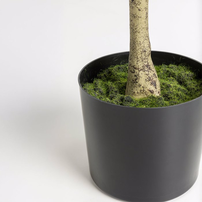 Liberta - Maison OLIVE TREE Dentro se Gastra ufasma Prasino PVC 180cm 031321