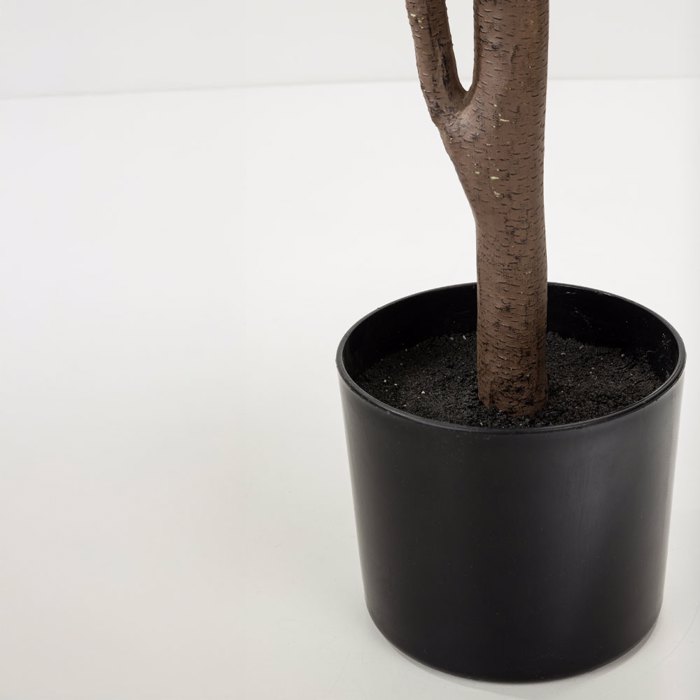 Liberta - Maison FICUS PANDURATA Dentro se Gastra ufasma Prasino PVC 180cm 031329