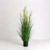 Liberta-Maison Oat Grass Futo Texnito Se Gastra 120cm PVC Prasino 031334