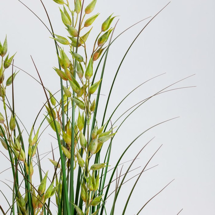Liberta-Maison Oat Grass Futo Texnito Se Gastra 120cm PVC Prasino 031334