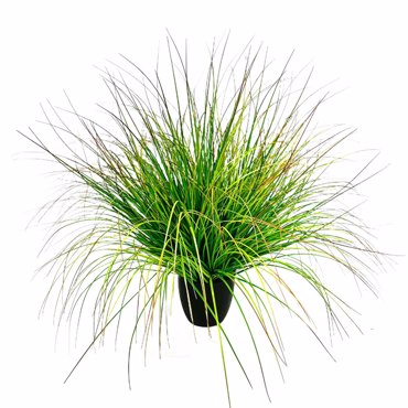 Liberta-Maison Bent Grass Φυτό Τεχνητό σε Γλάστρα 90cm PVC Πράσινο 031344