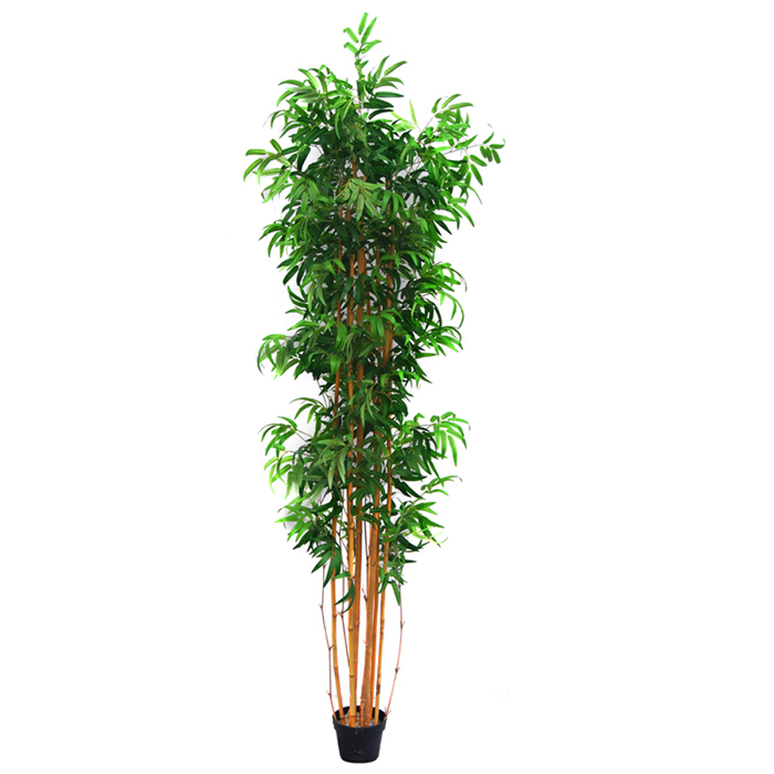 Liberta-Maison Bamboo Dentro Texnito se Gastra 220cm ufasma Prasino Bamboo 032205