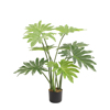 Liberta-Maison Philodendron Dentro Texnito Se Gastra 80cm PEVA Prasino 032209