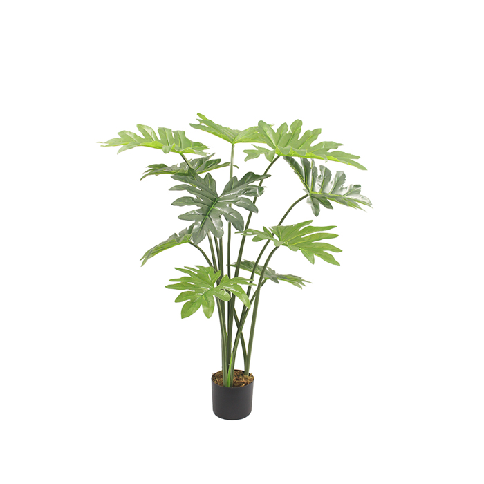Liberta-Maison Philodendron Dentro Texnito se Gastra 130cm Peva Prasino 032210