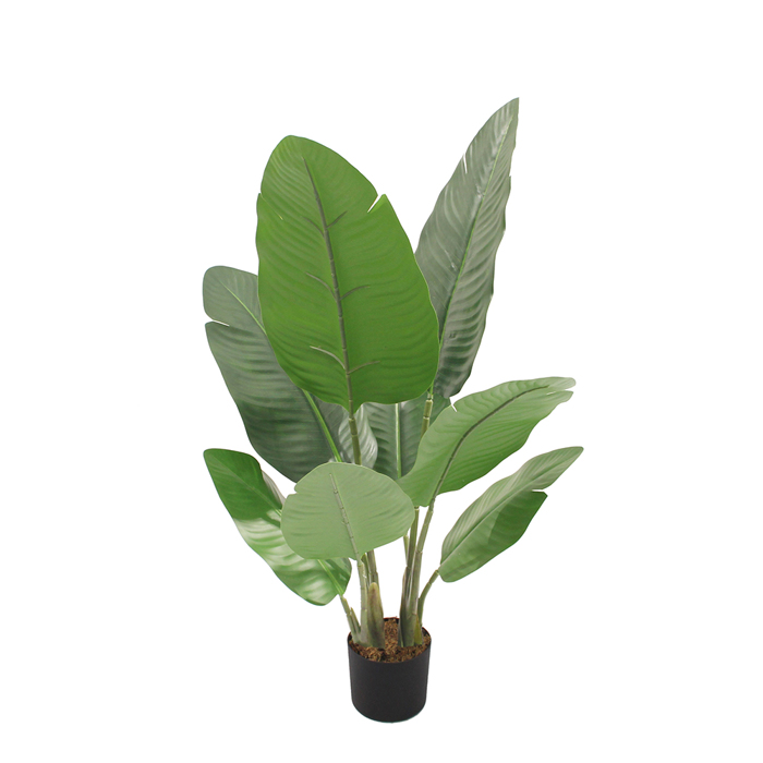 Liberta - Maison BANANA Dentro Texnito se Gastra PEVA Prasino 75cm 032214