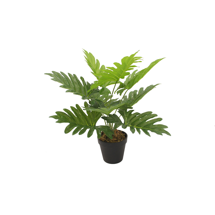 Liberta - Maison PHILODENDRON Futo Texnito se Gastra PEVA Prasino 45cm 032217