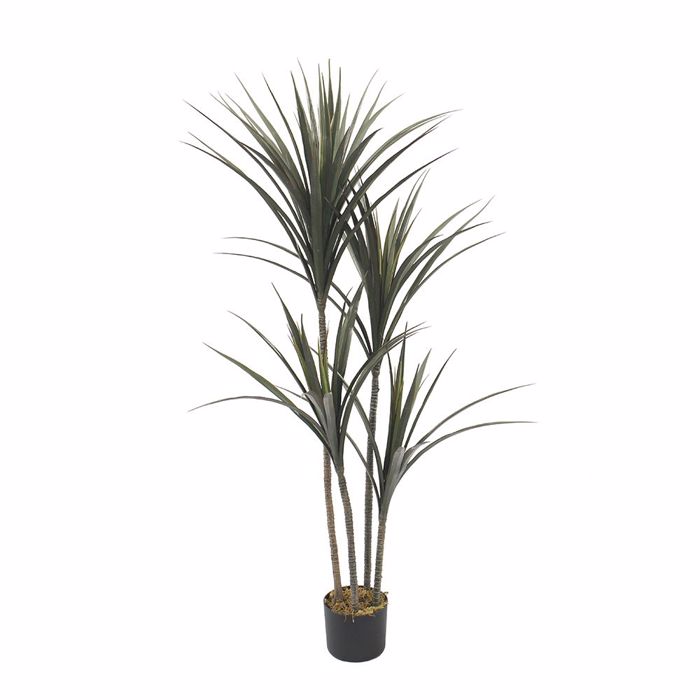 Liberta - Maison YUCCA Dentro Texnito se Gastra 130cm PE Prasino 032219