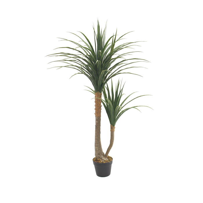 Liberta - Maison YUCCA Dentro se Gastra PE Prasino 120cm 032222