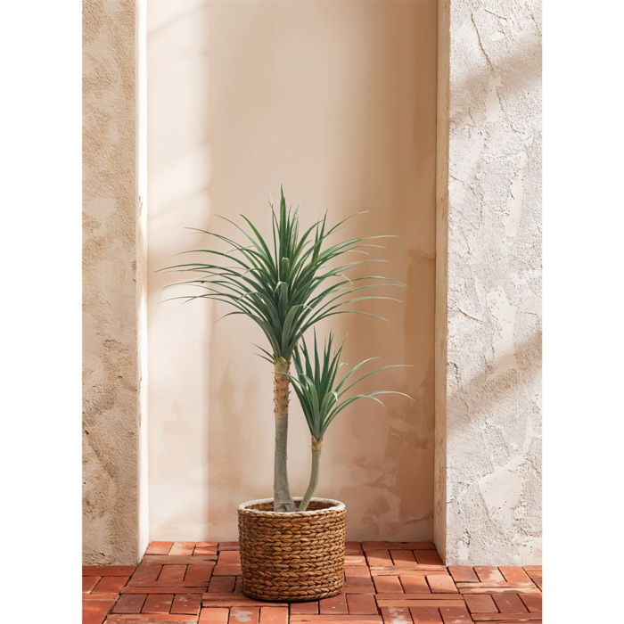 Liberta - Maison YUCCA Dentro se Gastra PE Prasino 120cm 032222