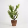 Liberta-Maison Bois Gastra Set 3Tmx 42x42x35cm Keramiko Kafe 032450