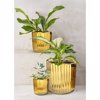Liberta-Maison Oro Kaspo Set 3tmx 18x18x18cm Keramiko Xruso 032455