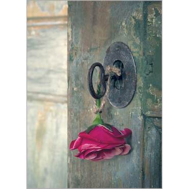 Ρόλερ με Ψηφιακή Εκτύπωση 'Red Rose' Α0905