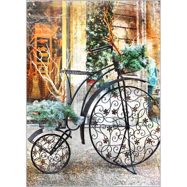 Ρόλερ με Ψηφιακή Εκτύπωση 'Vintage Bicycle' Α0906