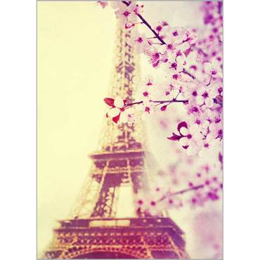 Ρόλερ με Ψηφιακή Εκτύπωση 'Paris' Α0907