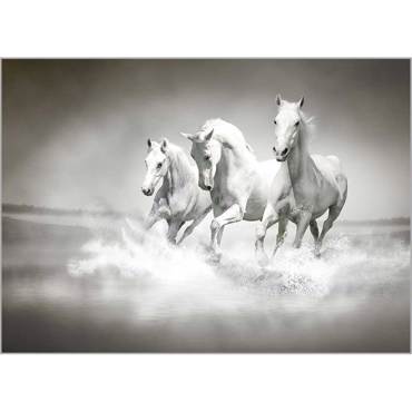 Ρόλερ με Ψηφιακή Εκτύπωση 'White Horses' Α1306