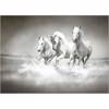 Roler me Psifiaki Ektuposi 'White Horses' A1306