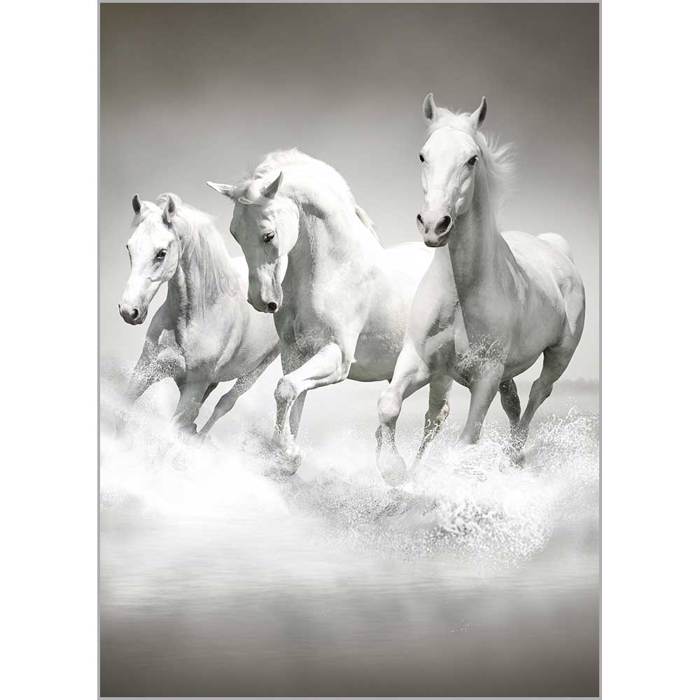 Roler me Psifiaki Ektuposi 'White Horses' A1306