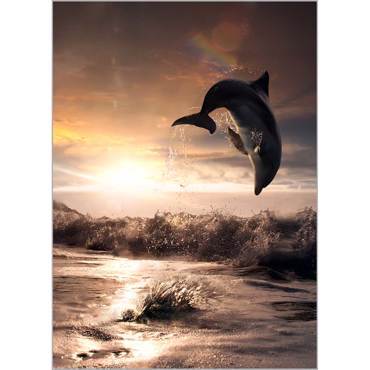 Ρόλερ με Ψηφιακή Εκτύπωση 'Δελφίνι' Α1802