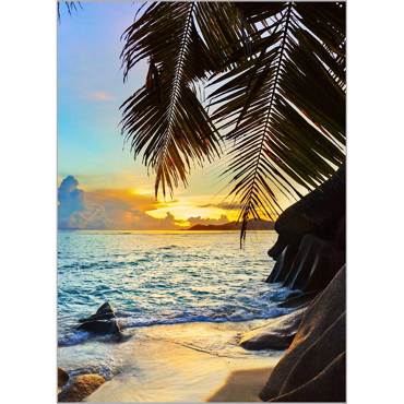 Ρόλερ με Ψηφιακή Εκτύπωση 'Tropical Beach' Α1804