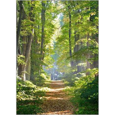 Ρόλερ με Ψηφιακή Εκτύπωση 'Τοπίο' Α1815