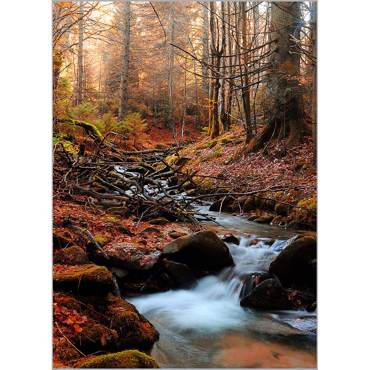 Ρόλερ με Ψηφιακή Εκτύπωση 'Mountain River' Α1820