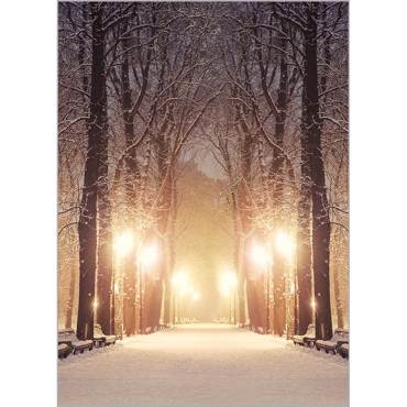 Ρόλερ με Ψηφιακή Εκτύπωση 'Winter Path' Α1822