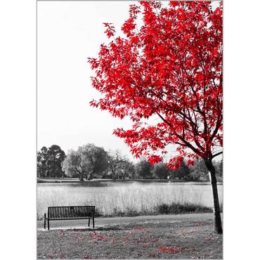 Ρόλερ με Ψηφιακή Εκτύπωση 'Park Bench' Α1824