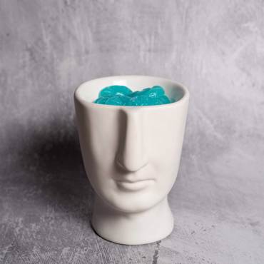 Αρωματιστής Scentchips με Επίστρωση Πορσελάνης Visage White 850139