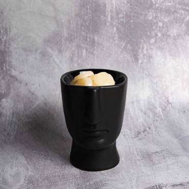 Αρωματιστής Scentchips με Επίστρωση Πορσελάνης Visage Μαύρος 850141