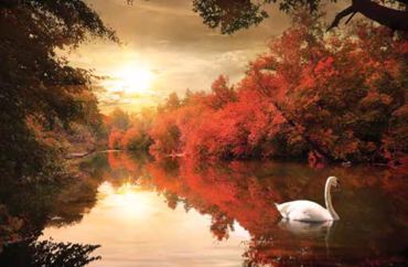 ΡΟΛΕΡ ΜΕ ΨΗΦΙΑΚΗ ΕΚΤΥΠΩΣΗ 'ΤΟΠΙΟ ΜΕ ΚΥΚΝΟ' E179