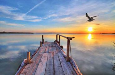 ΡΟΛΕΡ ΜΕ ΨΗΦΙΑΚΗ ΕΚΤΥΠΩΣΗ 'ΗΛΙΟΒΑΣΙΛΕΜΑ' E182