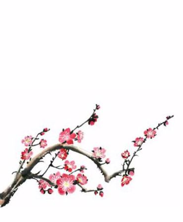 ΡΟΛΕΡ ΜΕ ΨΗΦΙΑΚΗ ΕΚΤΥΠΩΣΗ 'ΑΝΘΗ ΣΕ ΚΛΑΔΙ' E191