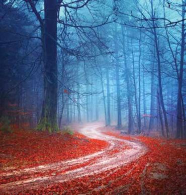 ΡΟΛΕΡ ΜΕ ΨΗΦΙΑΚΗ ΕΚΤΥΠΩΣΗ 'ΤΟΠΙΟ' E209