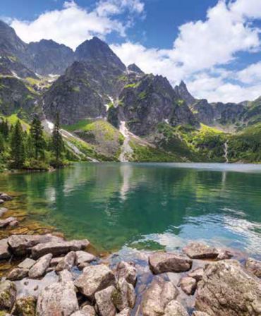 ΡΟΛΕΡ ΜΕ ΨΗΦΙΑΚΗ ΕΚΤΥΠΩΣΗ 'ΤΟΠΙΟ' E211