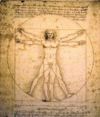 ROLER ME PsIFIAKI EKTuPOSI 'VITRUVIAN MAN' E290