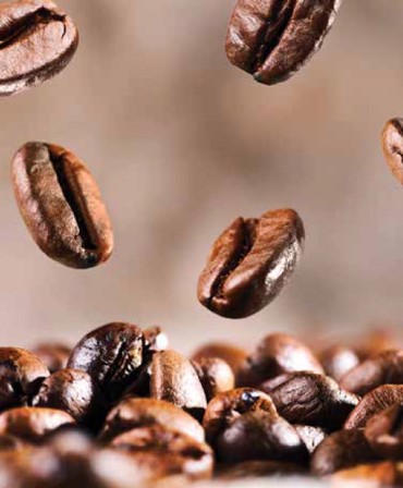 Ρόλερ με Ψηφιακή Εκτύπωση ''Coffee Beans'' E307