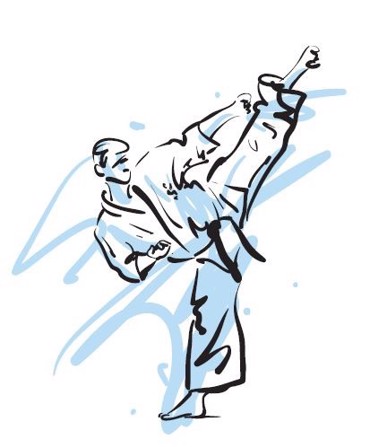 Ρόλερ με Ψηφιακή Εκτύπωση 'Karate Kick' E367